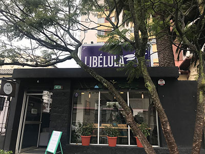 4_Imagen-Libélula