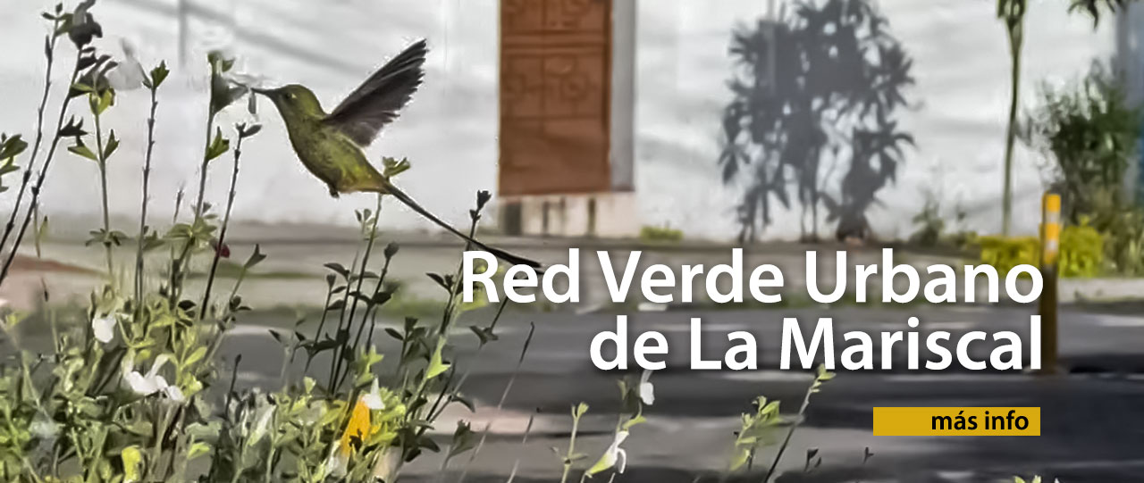 head-verde-urbano